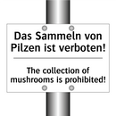 Das Sammeln von Pilzen ist verboten!/.../ - The collection of mushrooms is /.../