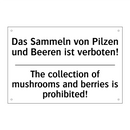 Das Sammeln von Pilzen und Beeren /.../ - The collection of mushrooms and /.../