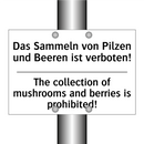 Das Sammeln von Pilzen und Beeren /.../ - The collection of mushrooms and /.../