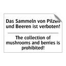 Das Sammeln von Pilzen und Beeren /.../ - The collection of mushrooms and /.../