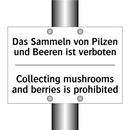 Das Sammeln von Pilzen und Beeren /.../ - Collecting mushrooms and berries /.../