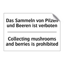 Das Sammeln von Pilzen und Beeren /.../ - Collecting mushrooms and berries /.../
