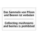 Das Sammeln von Pilzen und Beeren /.../ - Collecting mushrooms and berries /.../