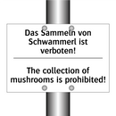 Das Sammeln von Schwammerl ist /.../ - The collection of mushrooms is /.../
