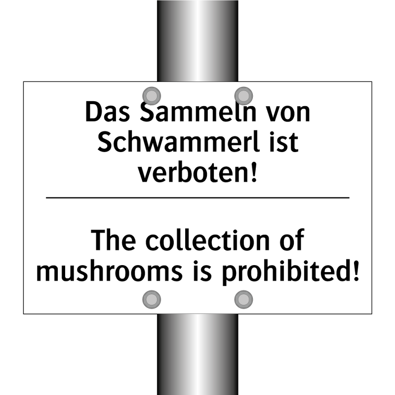 Das Sammeln von Schwammerl ist /.../ - The collection of mushrooms is /.../