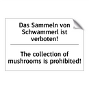 Das Sammeln von Schwammerl ist /.../ - The collection of mushrooms is /.../