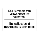 Das Sammeln von Schwammerl ist /.../ - The collection of mushrooms is /.../