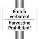 Ernten verboten! - Harvesting Prohibited!