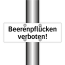 Beerenpflücken verboten!