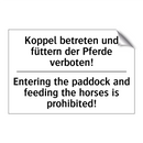 Koppel betreten und füttern der /.../ - Entering the paddock and feeding /.../