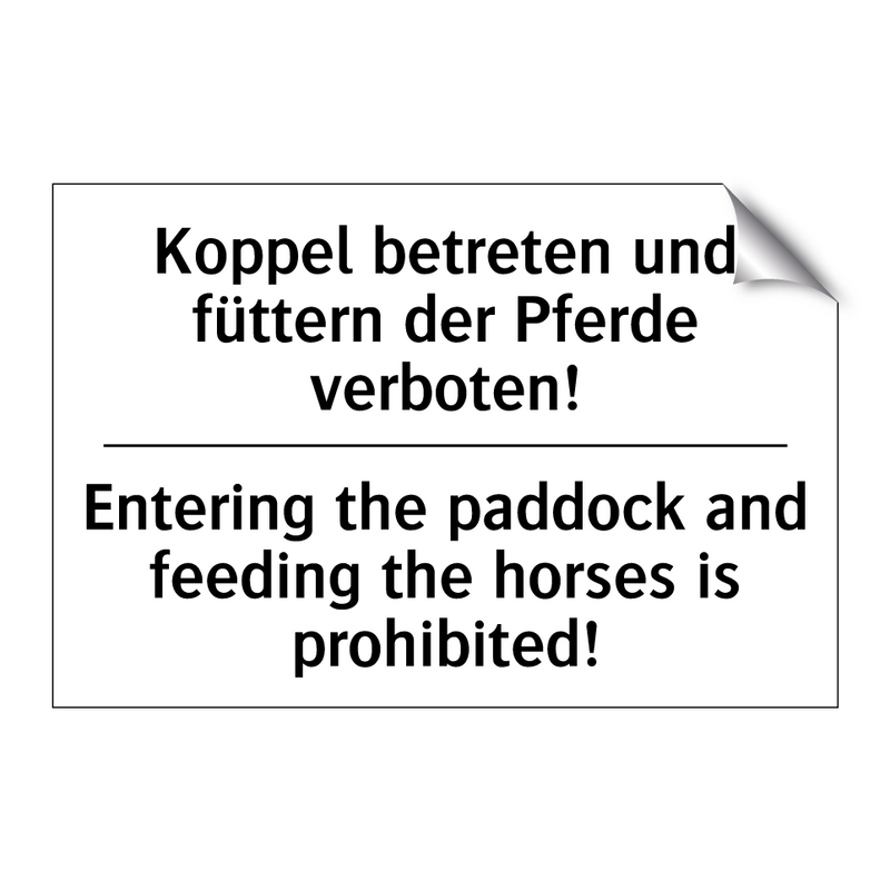 Koppel betreten und füttern der /.../ - Entering the paddock and feeding /.../