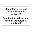 Koppel betreten und füttern der /.../ - Entering the paddock and feeding /.../