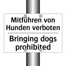 Mitführen von Hunden verboten - Bringing dogs prohibited