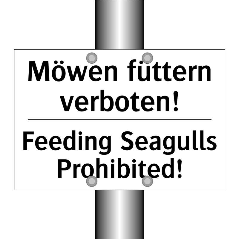 Möwen füttern verboten! - Feeding Seagulls Prohibited!