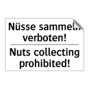 Nüsse sammeln verboten! - Nuts collecting prohibited!