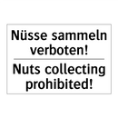 Nüsse sammeln verboten! - Nuts collecting prohibited!