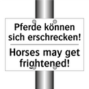 Pferde können sich erschrecken!/.../ - Horses may get frightened!