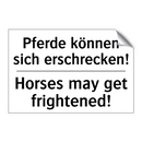 Pferde können sich erschrecken!/.../ - Horses may get frightened!
