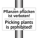 Pflanzen pflücken ist verboten!/.../ - Picking plants is prohibited!