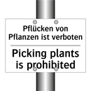 Pflücken von Pflanzen ist verboten/.../ - Picking plants is prohibited
