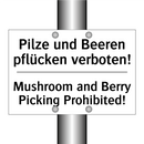 Pilze und Beeren pflücken verboten!/.../ - Mushroom and Berry Picking Prohibited!/.../