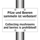 Pilze und Beeren sammeln ist verboten!/.../ - Collecting mushrooms and berries /.../
