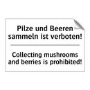 Pilze und Beeren sammeln ist verboten!/.../ - Collecting mushrooms and berries /.../