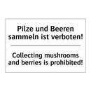 Pilze und Beeren sammeln ist verboten!/.../ - Collecting mushrooms and berries /.../
