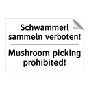 Schwammerl sammeln verboten! - Mushroom picking prohibited!