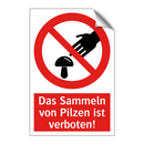 Das Sammeln von Pilzen ist verboten!