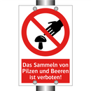 Das Sammeln von Pilzen und Beeren ist verboten!