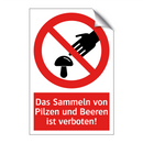 Das Sammeln von Pilzen und Beeren ist verboten!