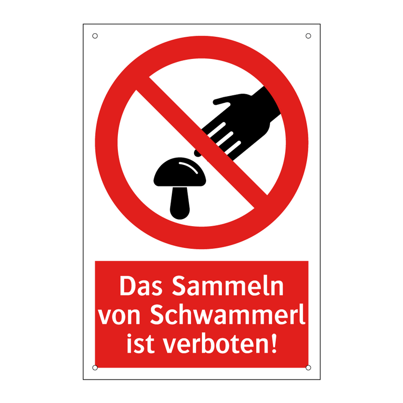 Das Sammeln von Schwammerl ist verboten!