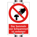 Das Sammeln von Schwammerl ist verboten!
