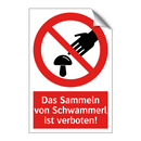 Das Sammeln von Schwammerl ist verboten!