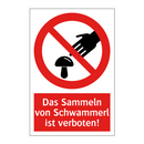 Das Sammeln von Schwammerl ist verboten!