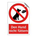 Den Hund nicht füttern