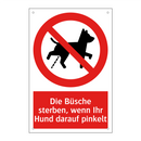 Die Büsche sterben, wenn Ihr Hund darauf pinkelt