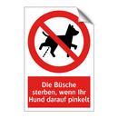 Die Büsche sterben, wenn Ihr Hund darauf pinkelt