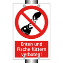 Enten und Fische füttern verboten!