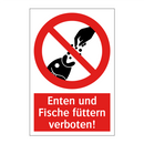 Enten und Fische füttern verboten!