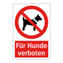 Für Hunde verboten