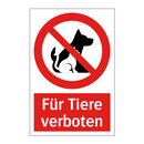 Für Tiere verboten