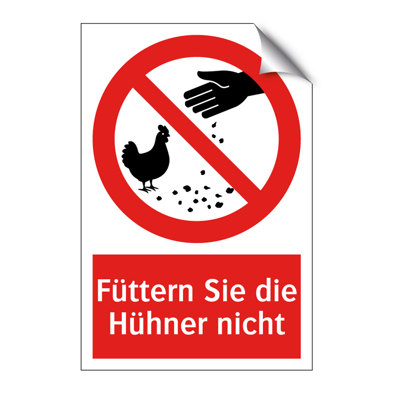 Füttern Sie die Hühner nicht