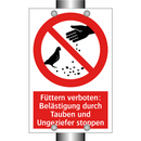 Füttern verboten: Belästigung durch Tauben und Ungeziefer stoppen