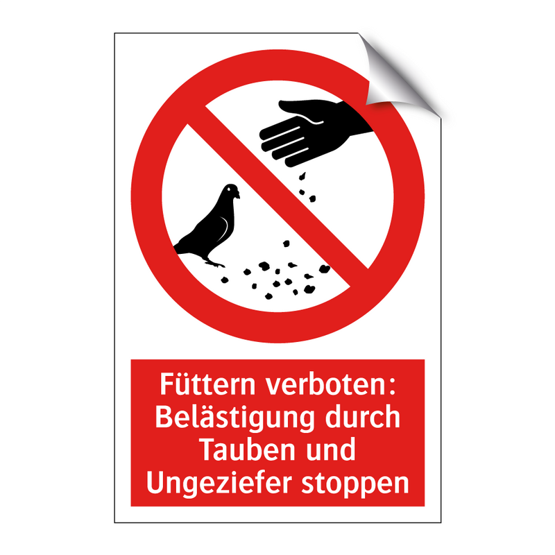 Füttern verboten: Belästigung durch Tauben und Ungeziefer stoppen