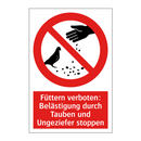 Füttern verboten: Belästigung durch Tauben und Ungeziefer stoppen