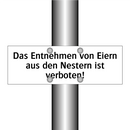 Das Entnehmen von Eiern aus den Nestern ist verboten!