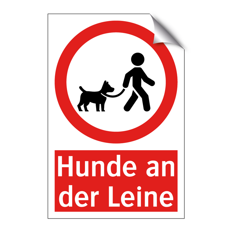 Hunde an der Leine