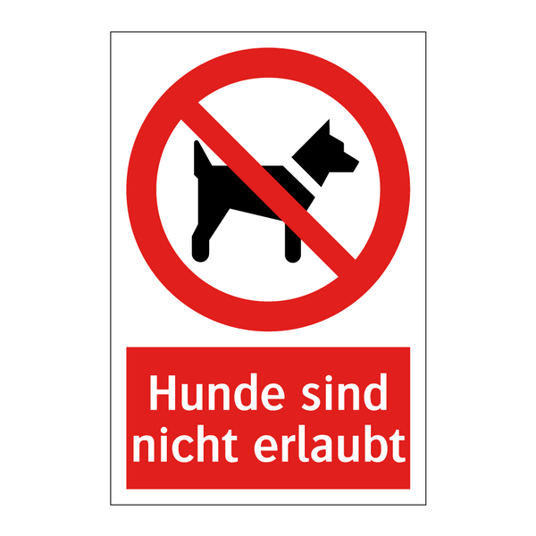 Hunde sind nicht erlaubt